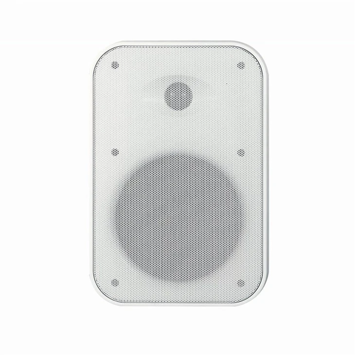 Waterproof In-wall Speaker